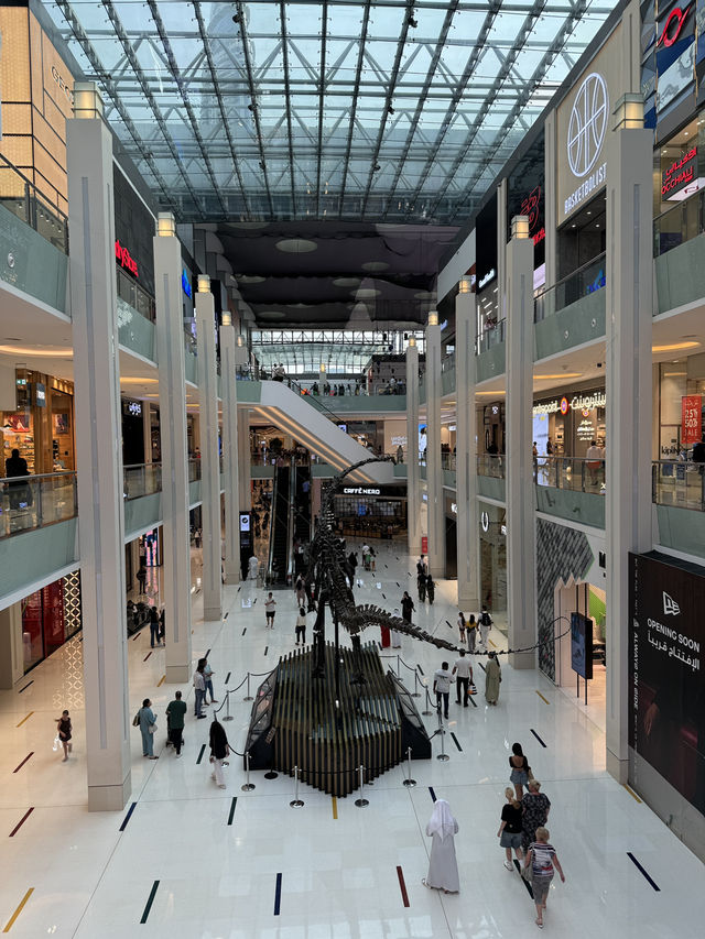 Dubai can provide you whatever you ask; The city of records and entertainment 