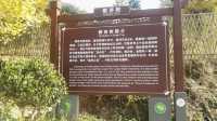 永州桐子坳景區、岑天河水庫、盤王殿之旅。