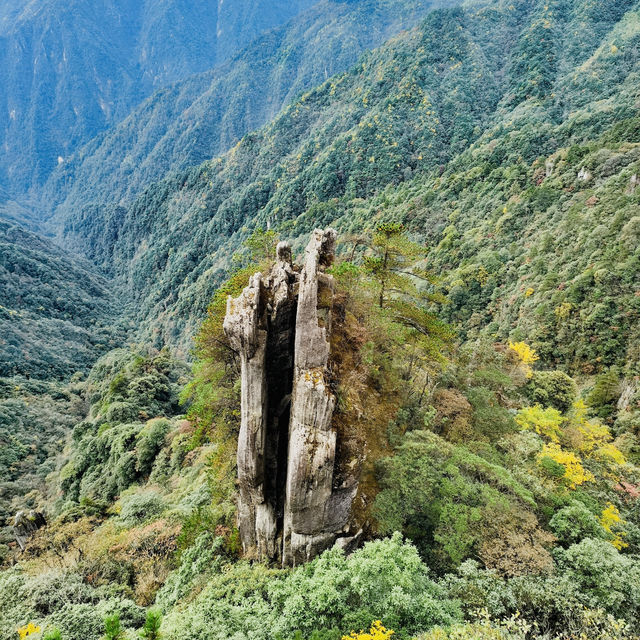 來羊獅慕爬山啦