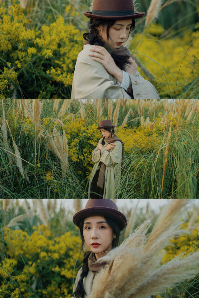 西安 | 本地人才知道的愜意公園,蘆葦蕩好美。 西安 | 本地人才知道的愜意公園,蘆葦蕩好美。