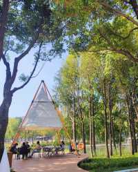 遠香湖公園裡竟然隱藏著這麼美的一家咖啡館！