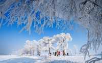 吉林市四天三夜冰雪奇緣之旅。