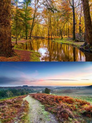 Autumn tour of the UK | Adventure in the secrets of the New Forest National Park.