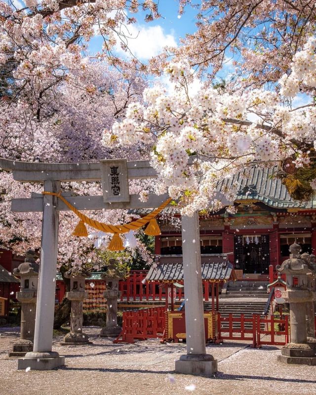 Exploring Chinese Cultural Heritage in Japan: Nikko Toshogu Shrine