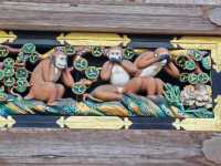 Travel Experience to Nikko's Toshogu Shrine on November 3rd