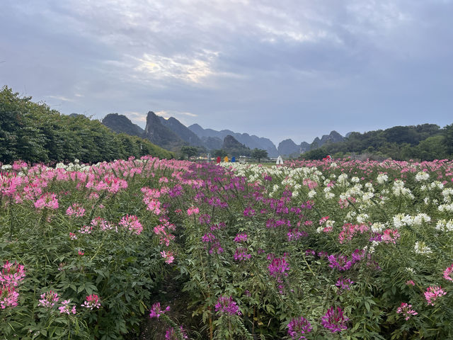 清遠峰林曉鎮。