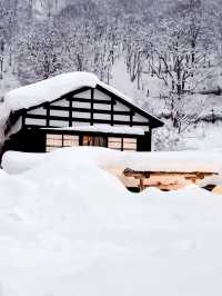 Explore the Hidden Gem of Japan: RUto Onsen