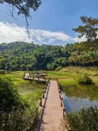 廣州出發 | 三水大南山森林公園週末行山。