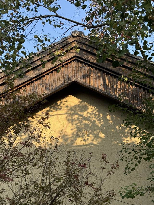 黃岡黃梅東山問梅村。