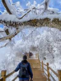 龍頭山又下雪啦天花板級別的冰雪世界！