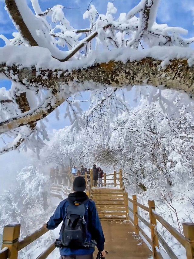 龍頭山又下雪啦天花板級別的冰雪世界！