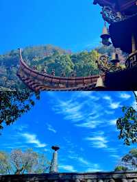 登高望遠青原之巅