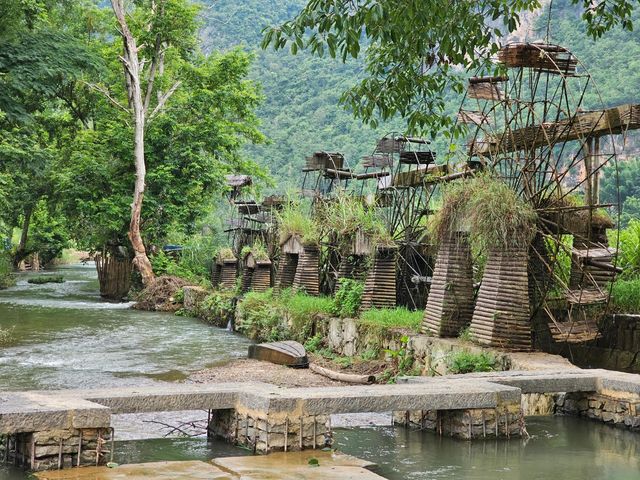 雲南文山壩美|和你共度三生三世十里桃花