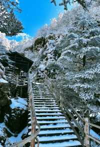 到看雪山的季節啦！！！