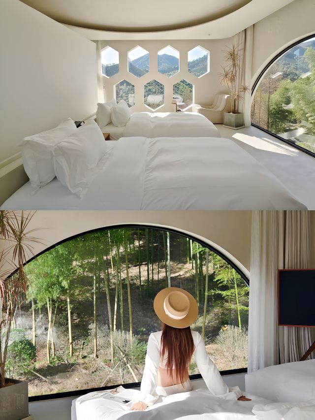冬季反向旅行之我在莫干山找到了未來世界