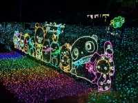 Japan's Sagamiko Sumikko Gurashi Light Show!