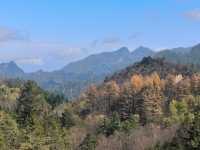 平河梁：將大地點綴成絢麗多姿的四季之美