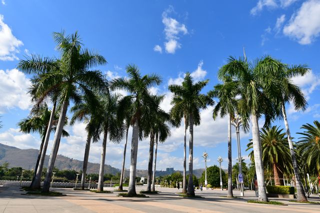 來雲南元謀，享受27℃的冬日暖陽