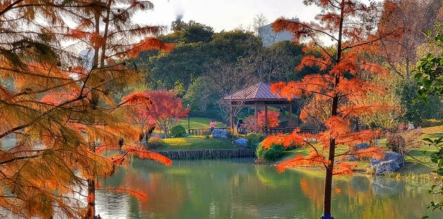 真的不想叫你來這裡｜梅隴生態公園