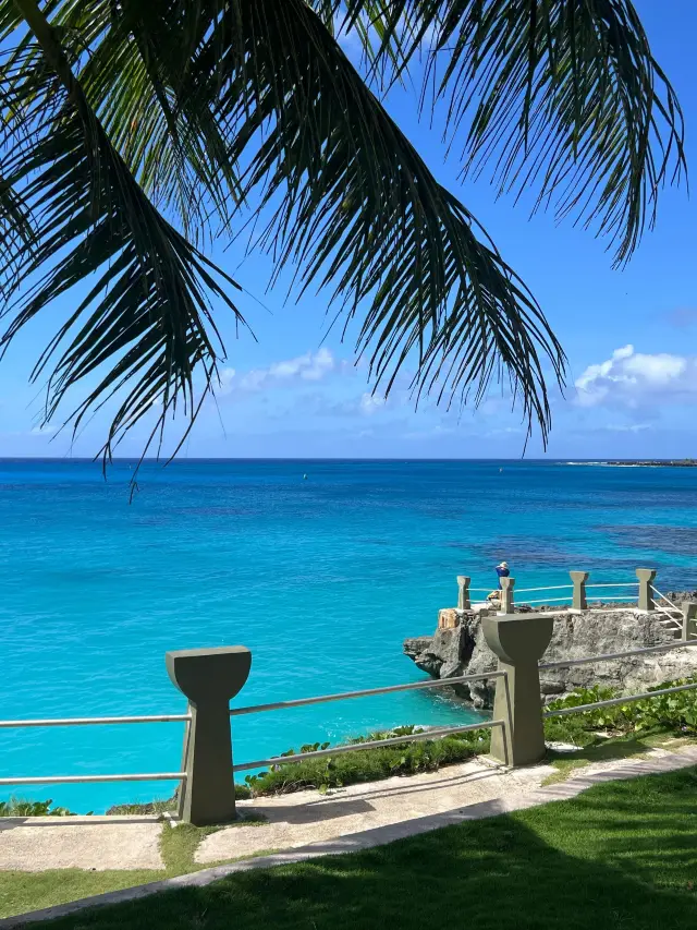 New Year in the US: Don't miss the beautiful scenery!