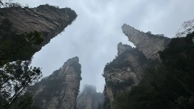 張家界観光完全ガイド