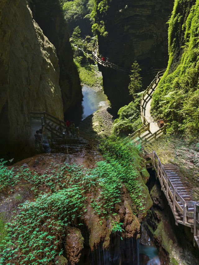 想去武隆旅遊的看這裡乾貨滿滿。