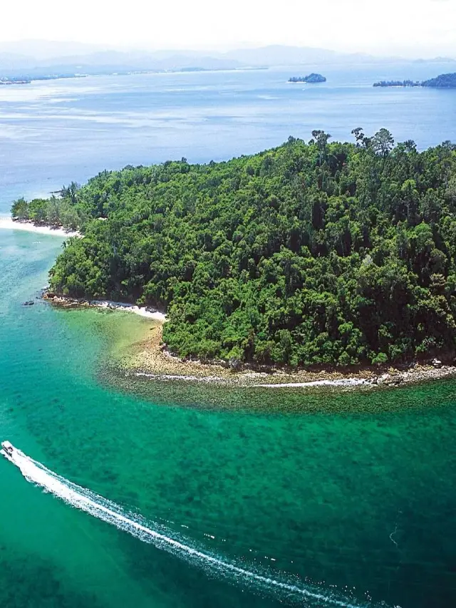 6일 말레이시아 미식가 필독 신규 가이드