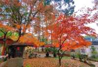 虞山|那被寫進唐詩裏的「破山寺」——興福禪寺