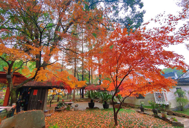 虞山|那被寫進唐詩裏的「破山寺」——興福禪寺 虞山|那被寫進唐詩裏的「破山寺」——興福禪寺