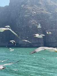 別卷了，來大連這座避世海島躲避寒冬