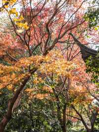 上海桂林公園