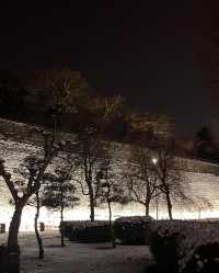 邂逅盛岡城跡公園，探尋歷史的雪影