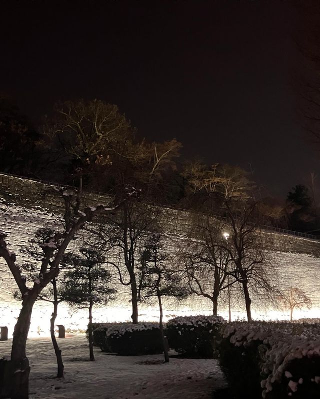 邂逅盛岡城跡公園，探尋歷史的雪影