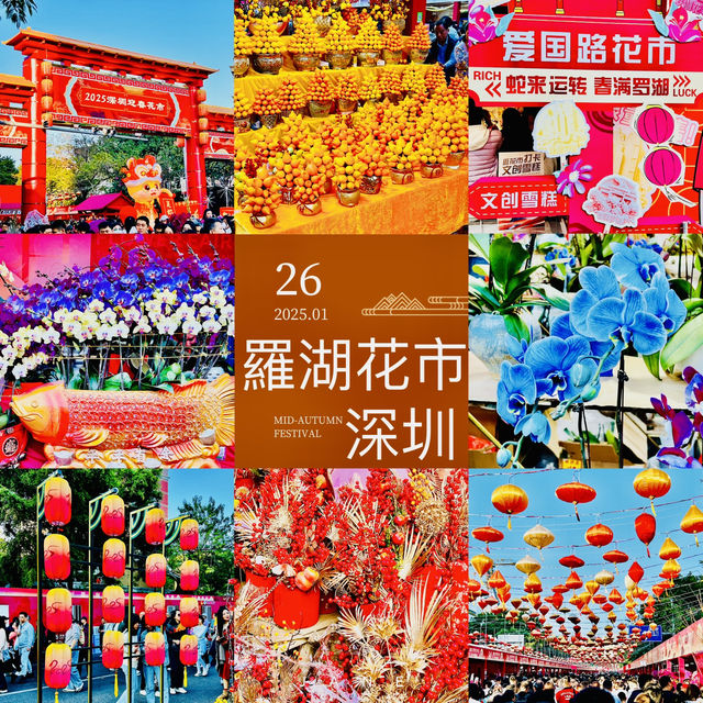 逛逛深圳2025迎春花市@羅湖愛國路花市