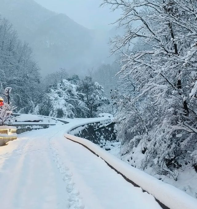 老君山雪景太美，錯過你就虧大了！