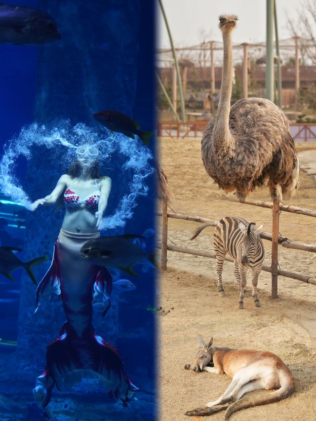 春節去襄陽奇幻谷嗨玩兩天一晚