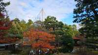 家人們誰懂啊！在蘆城公園狠狠拿捏鬆弛感