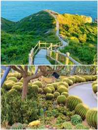 深圳已回，真不建議2月去因為一首歌來到一座城...