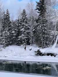 8日暢滑新疆烏魯木齊-喀納斯滑雪全攻略