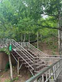 寒假馬來西亞7日遊 玩轉熱帶風情