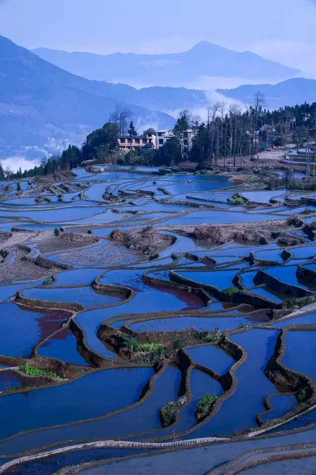 ศิลปะบนผืนดิน จานสีของพระเจ้า