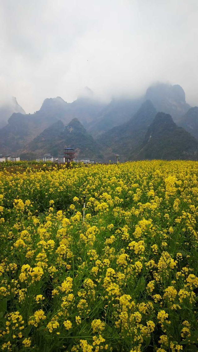 河池那坡風光