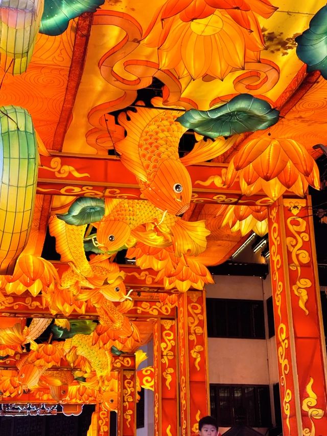 今年嘅燈會好熱鬧，快嚟呢度睇秦淮燈展！