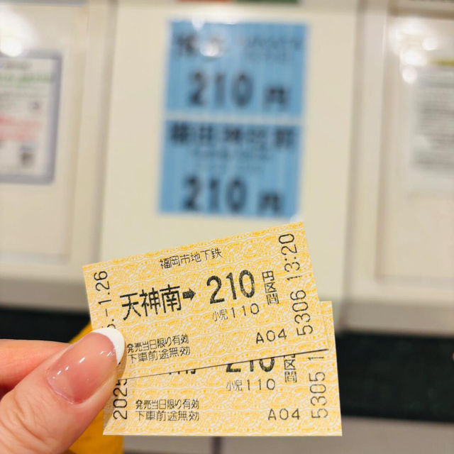 福岡Citywalk超詳細攻略✨ 海洋光譜號下船日玩法