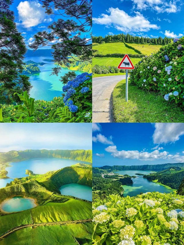 聖米格爾島：大西洋上的神秘花園