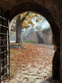 塞爾維亞等多國連遊 老友共賞古風遺跡