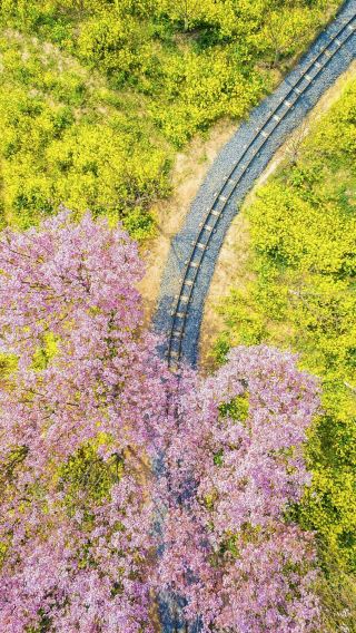 "Won't a journey on the Jiayang Narrow-Gauge Railway surprise you?"