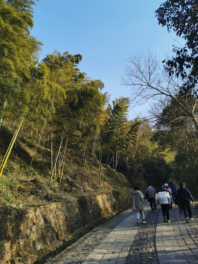 南京——玄武湖、雞鳴寺、天文台|||邂逅南京