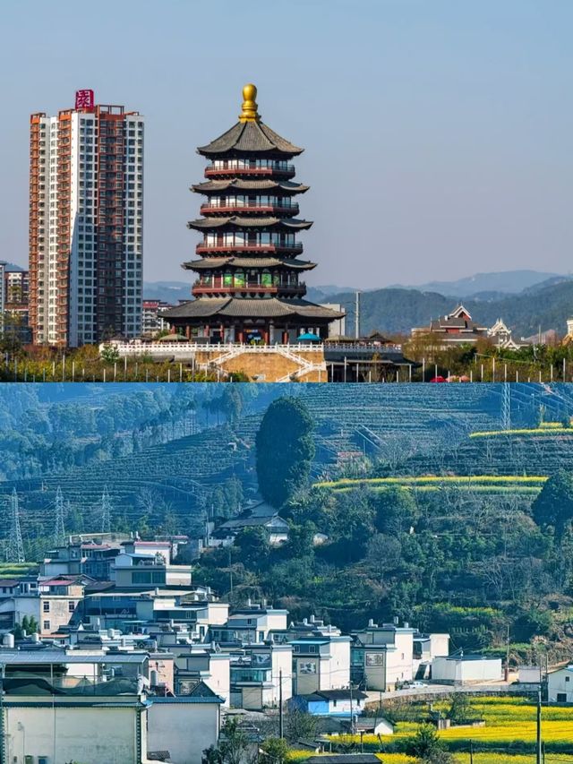 臨滄已回，請直接複製這條路線。