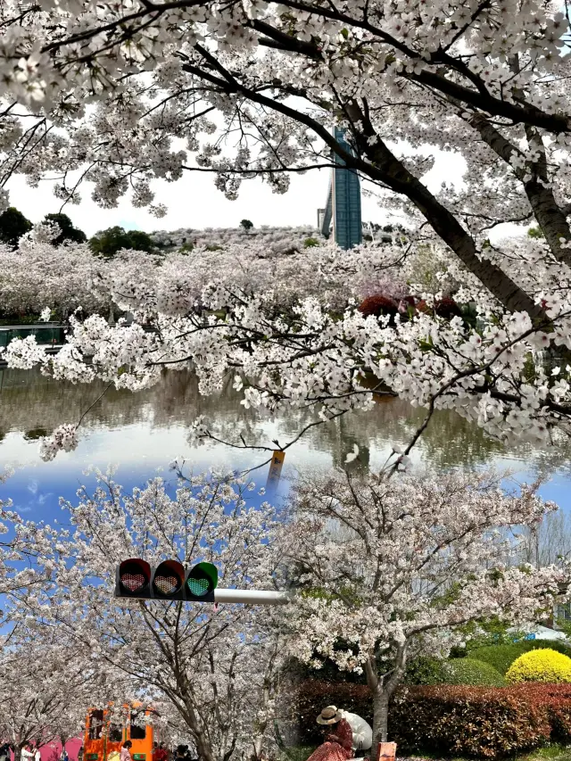 Chengdu's Own Monet Garden Is Stunning